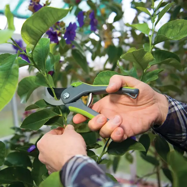 Sekator przekładniowy 200 mm - Silverline