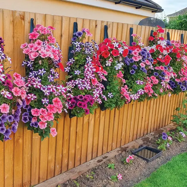 Tunel wiszący do wzrostu roślin, 2 szt. 700 x 220 mm - Silverline