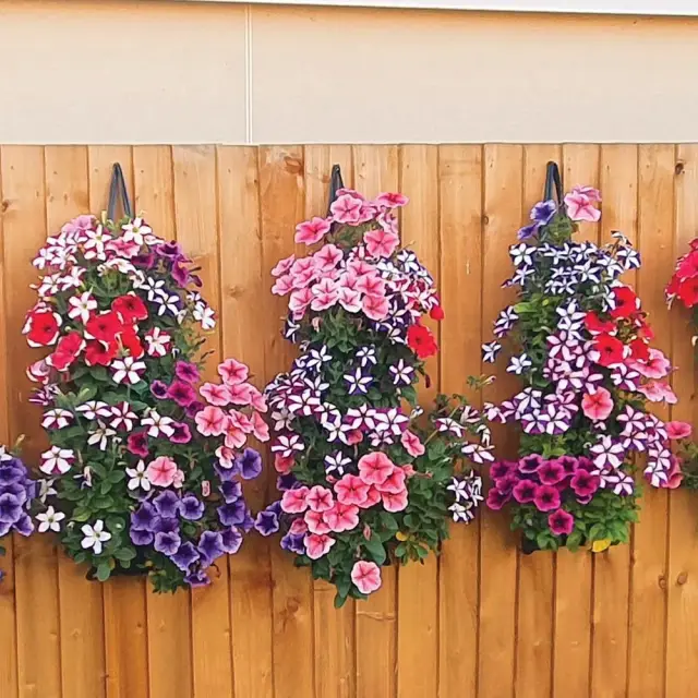 Tunel wiszący do wzrostu roślin, 2 szt. 700 x 220 mm - Silverline