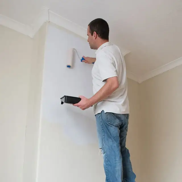 Zestaw z wałkiem malarskim 230 mm - Silverline