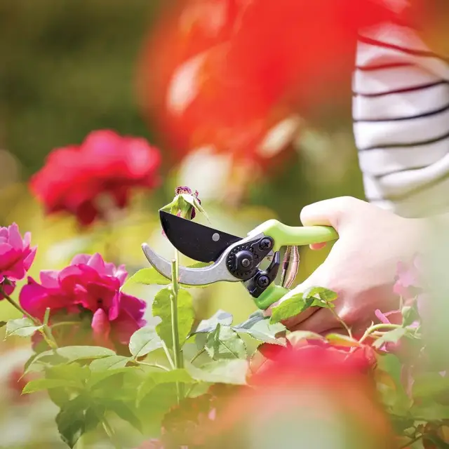 Sekator ogrodowy 220 mm - Silverline